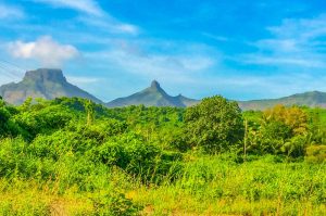 Complete Easy Win Slots India: Pro Tips to Win in India (2027)