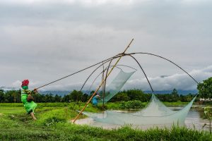 Live Roulette Strategies India in Manipur: Complete 2026 Guide for Indian Players